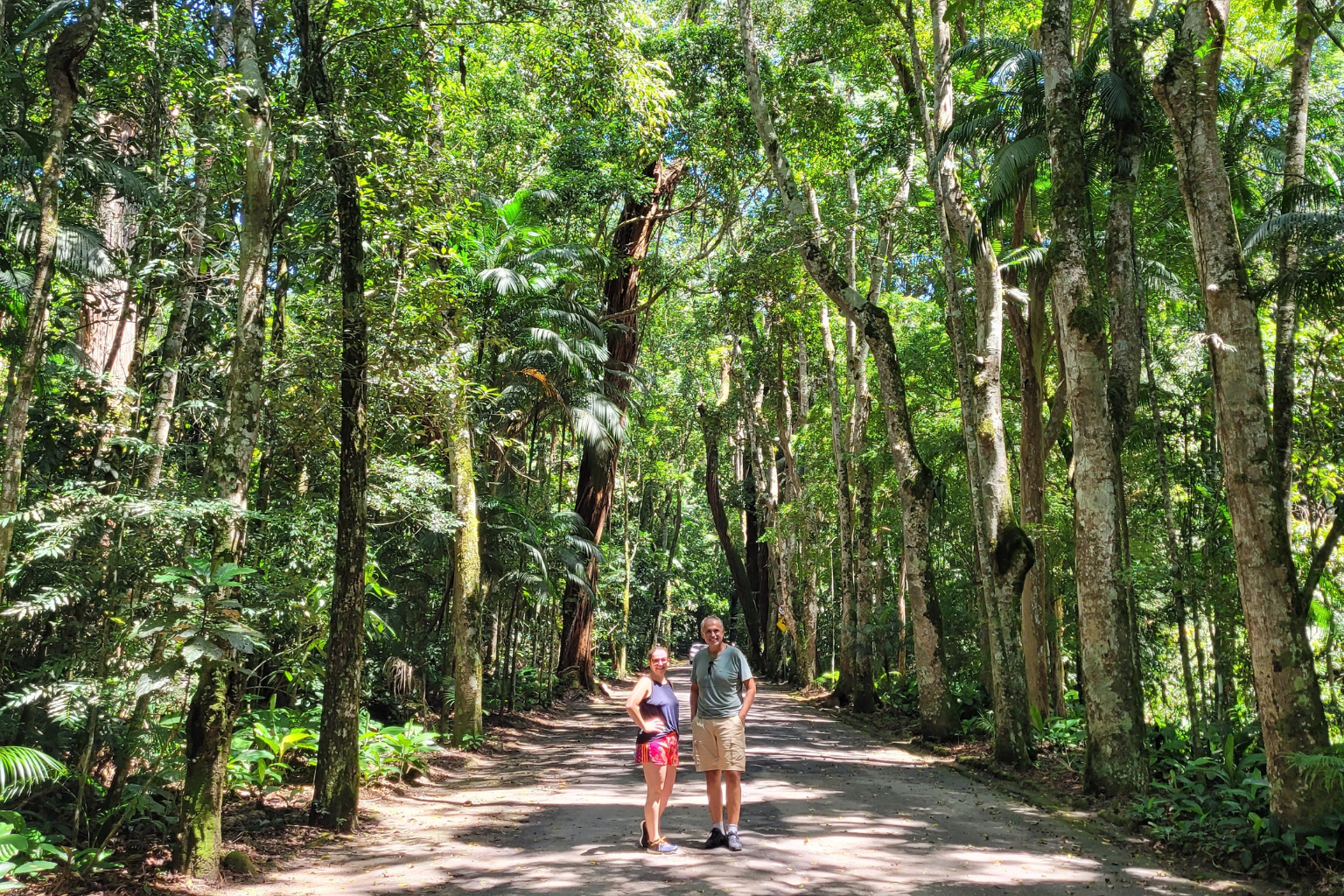 TRILHAS NO RIO DE JANEIRO O QUE FAZER NO RIO DE JANEIRO ECOTURISMO barata Rio de Janeiro Turismo baixo custo RJ Pacotes de viagem baratos Rio O que fazer de graça no Rio de Janeiro Hospedagem barata Rio de Janeiro Dicas de economia em viagens Passeio Barato Rio de Janeiro Ponto Turístico Gratuito RJ