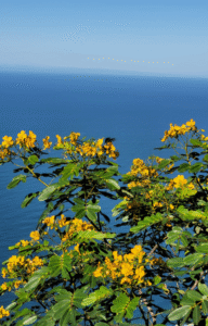 TRILHAS NO RIO DE JANEIRO O QUE FAZER NO RIO DE JANEIRO ECOTURISMO barata Rio de Janeiro Turismo baixo custo RJ Pacotes de viagem baratos Rio O que fazer de graça no Rio de Janeiro Hospedagem barata Rio de Janeiro Dicas de economia em viagens Passeio Barato Rio de Janeiro Ponto Turístico Gratuito RJ Turismo barato Rio de Janeiro Viagem barata Rio de Janeiro O que fazer no Rio de Janeiro gastando pouco Rio de Janeiro econômico Dicas para economizar no Rio de Janeiro