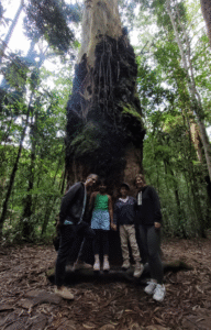 TRILHAS NO RIO DE JANEIRO O QUE FAZER NO RIO DE JANEIRO ECOTURISMO Viagem barata Rio de Janeiro Turismo baixo custo RJ Pacotes de viagem baratos Rio O que fazer de graça no Rio de Janeiro Hospedagem barata Rio de Janeiro Dicas de economia em viagens Passeio Barato Rio de Janeiro Ponto Turístico Gratuito RJ