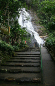 TRILHAS NO RIO DE JANEIRO O QUE FAZER NO RIO DE JANEIRO ECOTURISMO Viagem barata Rio de Janeiro Turismo baixo custo RJ Pacotes de viagem baratos Rio O que fazer de graça no Rio de Janeiro Hospedagem barata Rio de Janeiro Dicas de economia em viagens Passeio Barato Rio de Janeiro Ponto Turístico Gratuito RJ