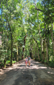 TRILHAS NO RIO DE JANEIRO O QUE FAZER NO RIO DE JANEIRO ECOTURISMO Viagem barata Rio de Janeiro Turismo baixo custo RJ Pacotes de viagem baratos Rio O que fazer de graça no Rio de Janeiro Hospedagem barata Rio de Janeiro Dicas de economia em viagens Passeio Barato Rio de Janeiro Ponto Turístico Gratuito RJ