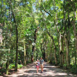 TRILHAS NO RIO DE JANEIRO O QUE FAZER NO RIO DE JANEIRO ECOTURISMO Viagem barata Rio de Janeiro Turismo baixo custo RJ Pacotes de viagem baratos Rio O que fazer de graça no Rio de Janeiro Hospedagem barata Rio de Janeiro Dicas de economia em viagens Passeio Barato Rio de Janeiro Ponto Turístico Gratuito RJ