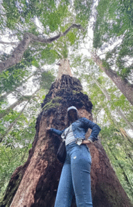 TRILHAS NO RIO DE JANEIRO O QUE FAZER NO RIO DE JANEIRO ECOTURISMO Viagem barata Rio de Janeiro Turismo baixo custo RJ Pacotes de viagem baratos Rio O que fazer de graça no Rio de Janeiro Hospedagem barata Rio de Janeiro Dicas de economia em viagens Passeio Barato Rio de Janeiro Ponto Turístico Gratuito RJ