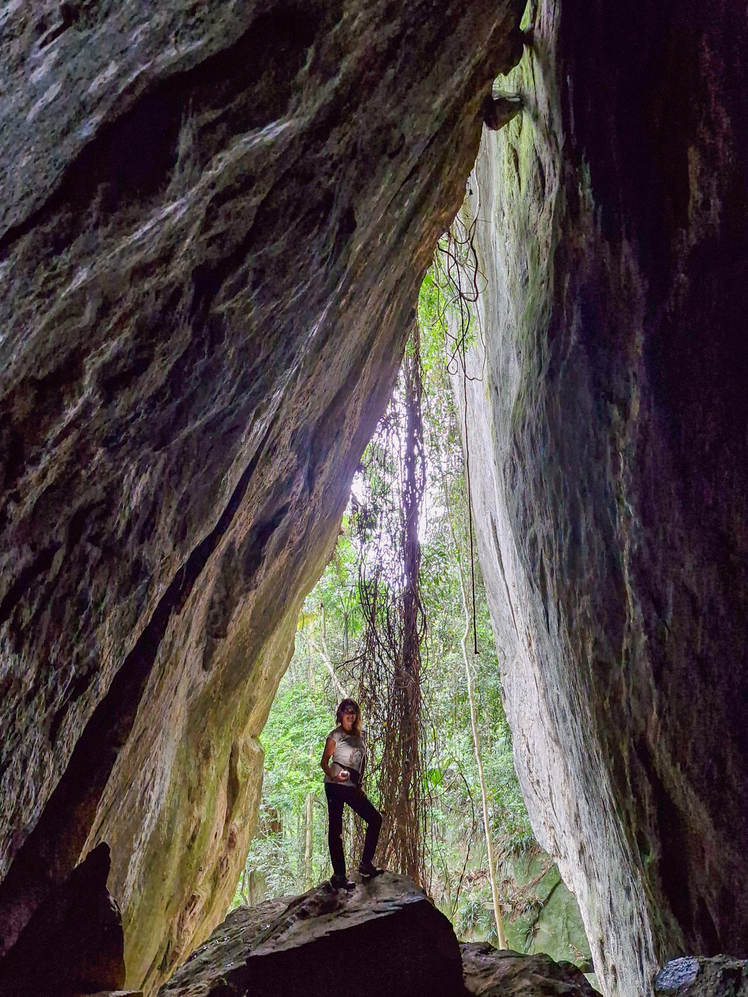 TRILHAS NO RIO DE JANEIRO O QUE FAZER NO RIO DE JANEIRO ECOTURISMO Viagem barata Rio de Janeiro Turismo baixo custo RJ Pacotes de viagem baratos Rio O que fazer de graça no Rio de Janeiro Hospedagem barata Rio de Janeiro Dicas de economia em viagens Passeio Barato Rio de Janeiro Ponto Turístico Gratuito RJ